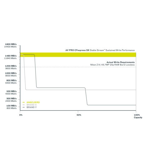 Angelbird AV PRO CFexpress SX Type B 160 GB AVP160CFXBSX