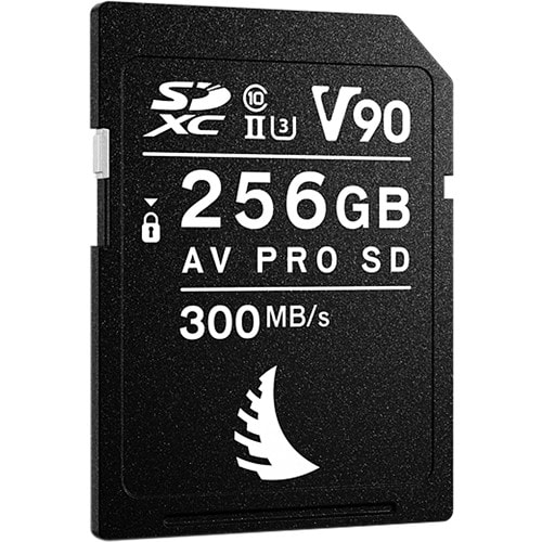 憧れの PRO AV Angelbird SD (AVP256SDMK2V90 PACK 1 | V90 256GB MK2 ビリヤード