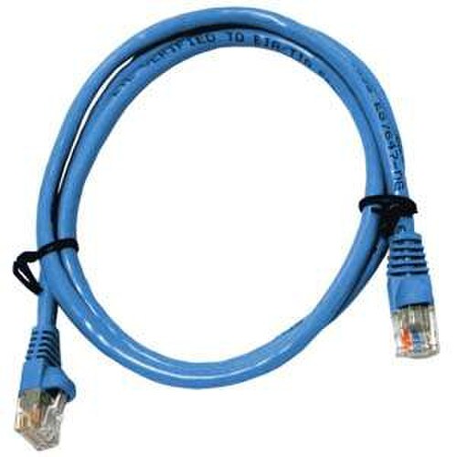 Perfect Vision CATPC1BLU 1-ft Cat 5E Patch Cable - Blue CATPC1BLU