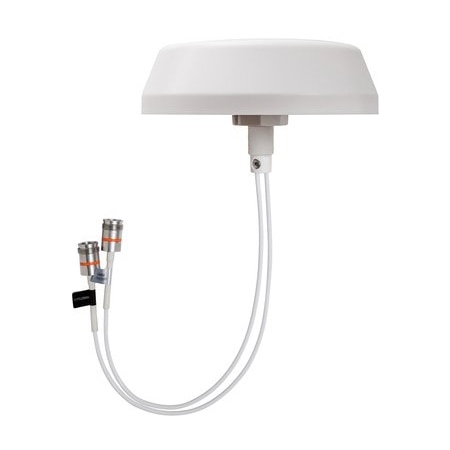 Indoor Ant Omni MIMO 617-6000MHZCMAX-OMF8-43UWi53