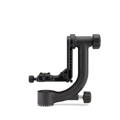 Benro GH2 Gimbal Head with PL100 Plate